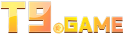 t9 game logo